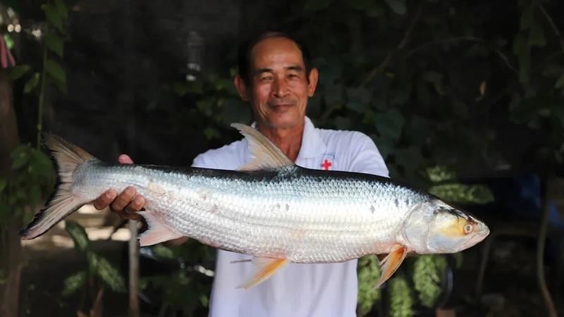 Camboya, Pez extinto