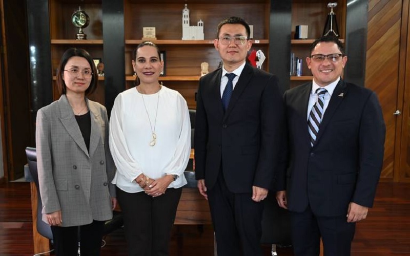 Heilongjiang TYW Electronics, Guanajuato