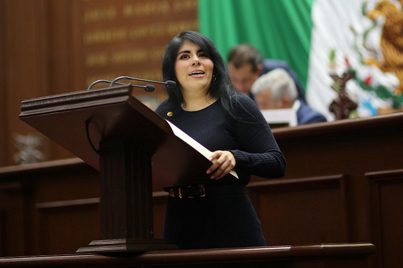 Vanhe Caratachea, Poder Judicial
