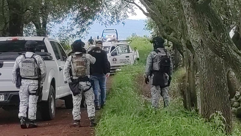 Inseguridad, Michoacán