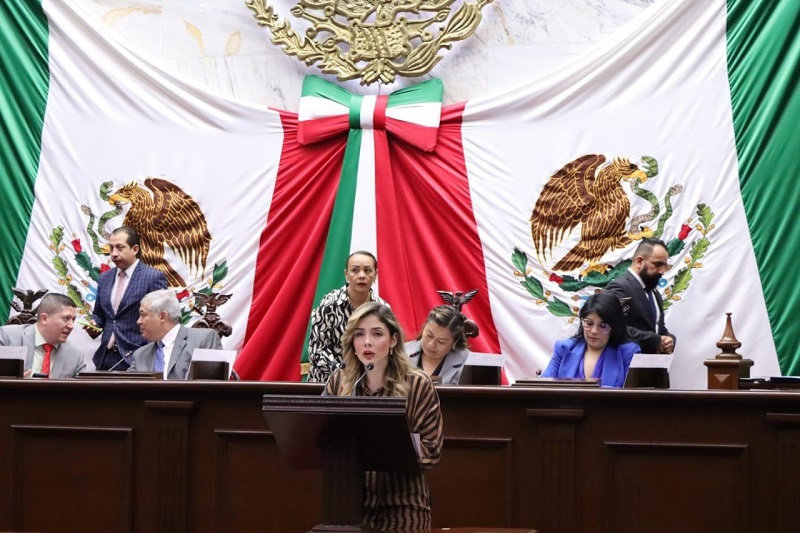 Brissa Arroyo, Congreso de Michoacán