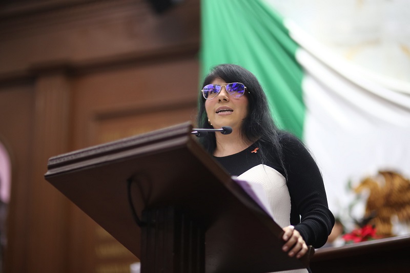 Vanhe Caratachea, Congreso de Michoacán