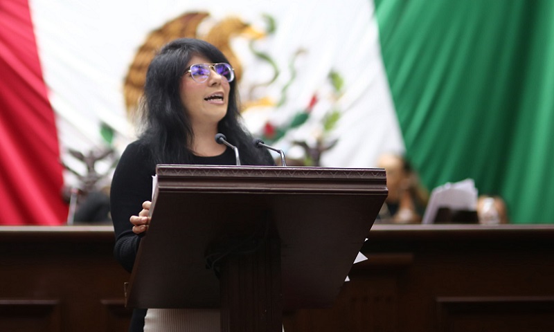 Vanhe Caratachea, Congreso de Michoacán