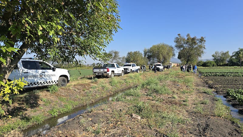 Inseguridad, Zamora