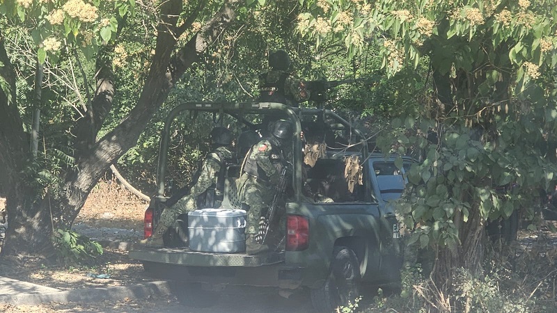 Parácuaro, Tiroteo, Muertos, SEDENA