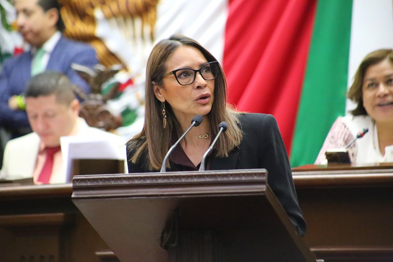 Nalleli Pedraza, Congreso de Michoacán