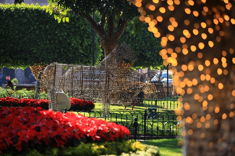 Morelia, Navidad