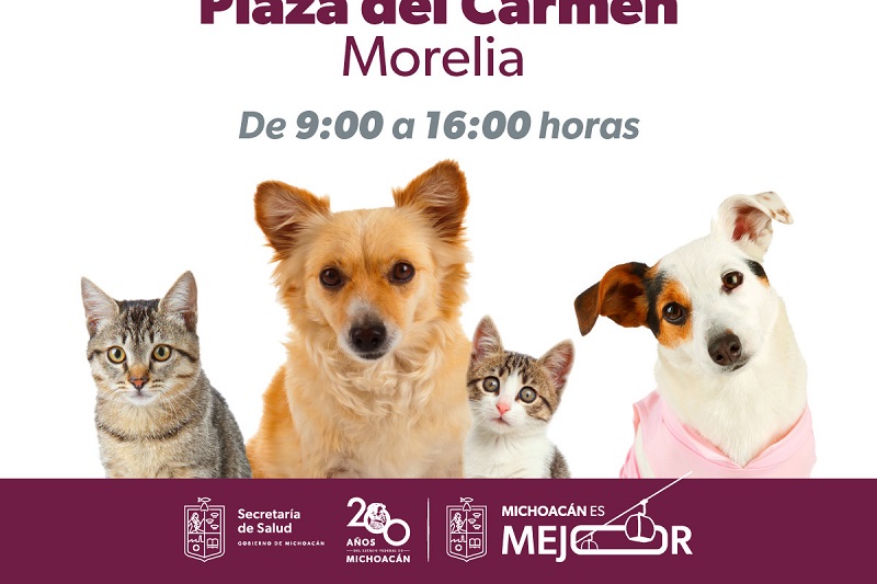 SSM Michoacán