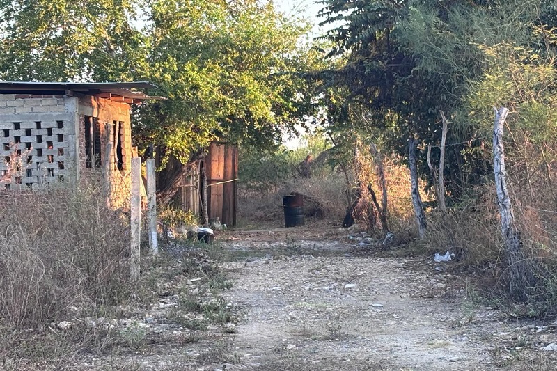 Lázaro Cárdenas, Cuerpo, FGE