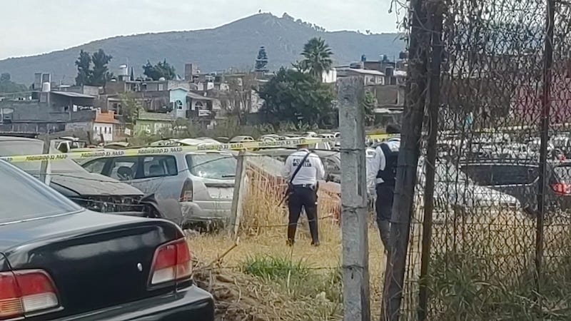 Inseguridad, Michoacán