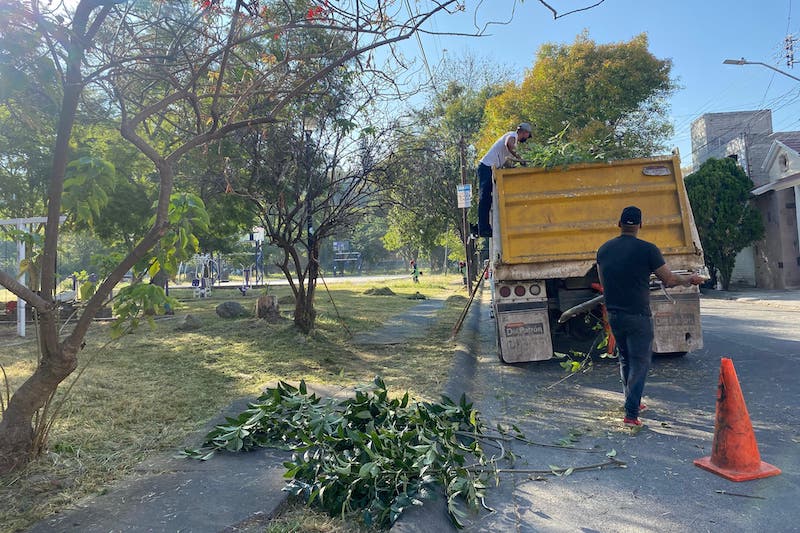 Jornada de limpieza, Morelia
