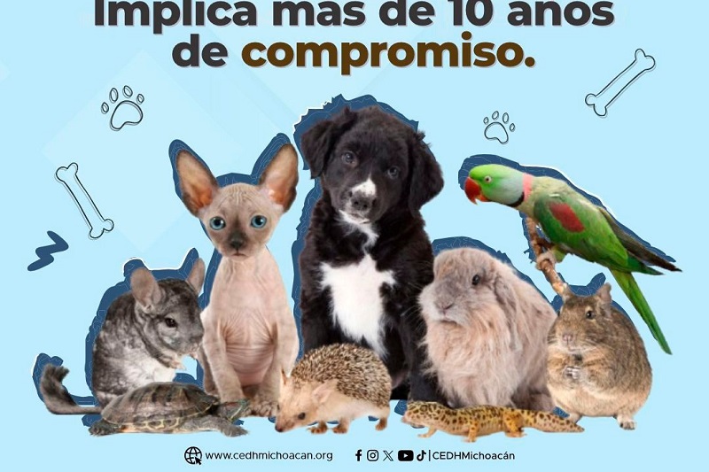 CEDH Michoacán
