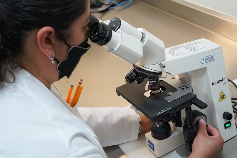 Laboratorio, SSM