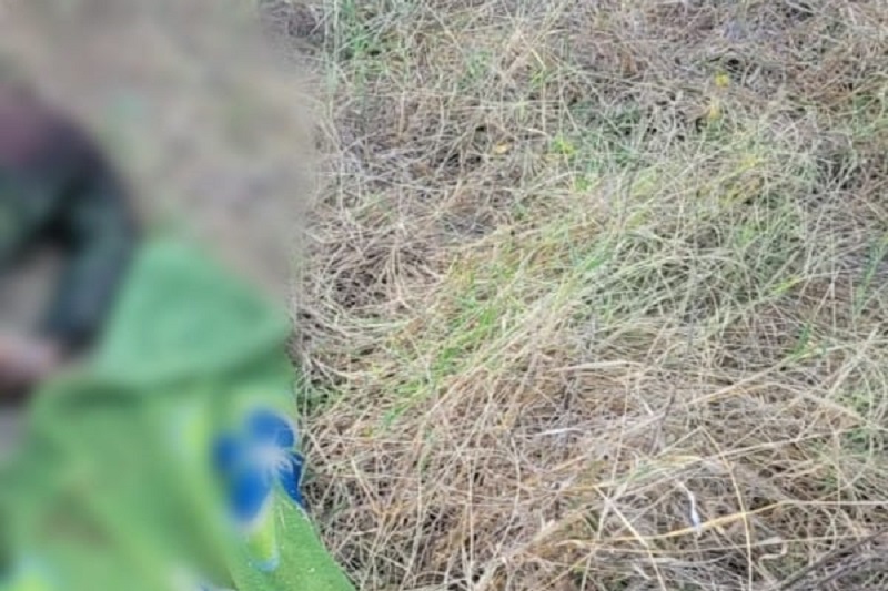 Apatzingán, Muerto