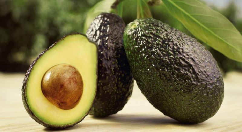 Aguacate mexicano