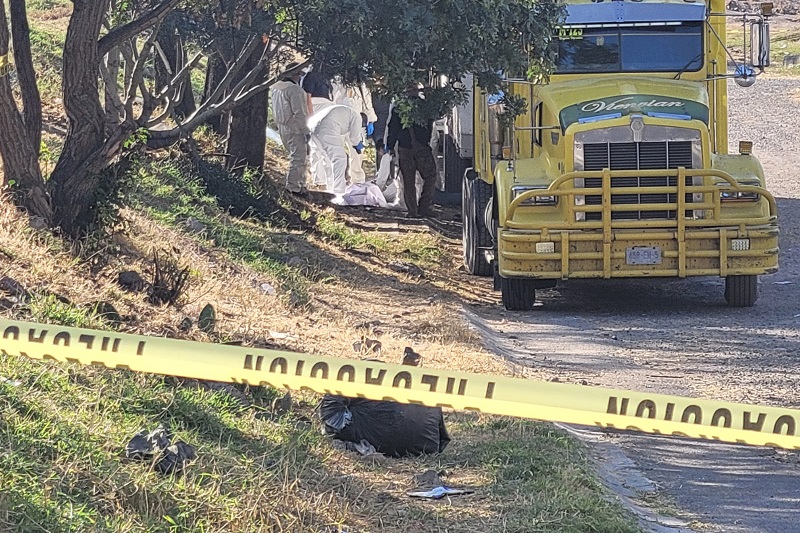 Morelia, Homicidio, identificación, Ayuda