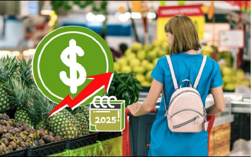 IEPS 2025, Impuestos, Precios