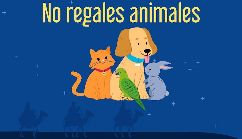 FGE, operativo, animales
