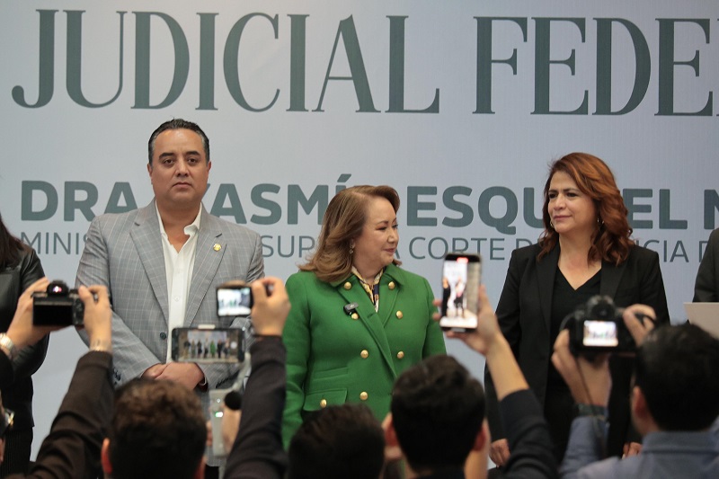 Fabiola Alanís, Morena