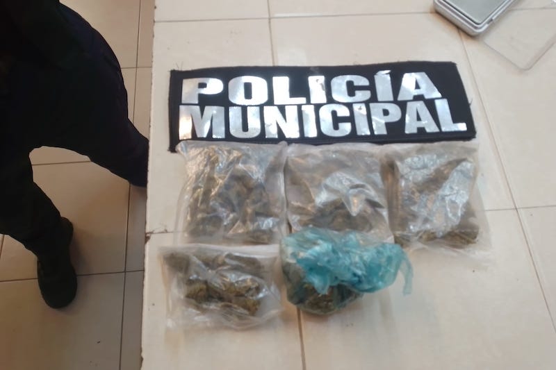 Marihuana, asegurada