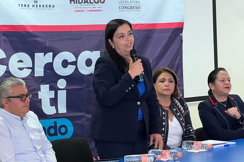 PAN Michoacán