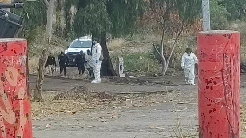 Inseguridad, Michoacán
