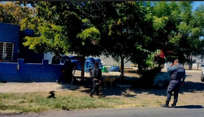 Buenavista, SSP