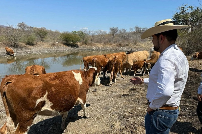 PRD Michoacán, Octavio Ocampo