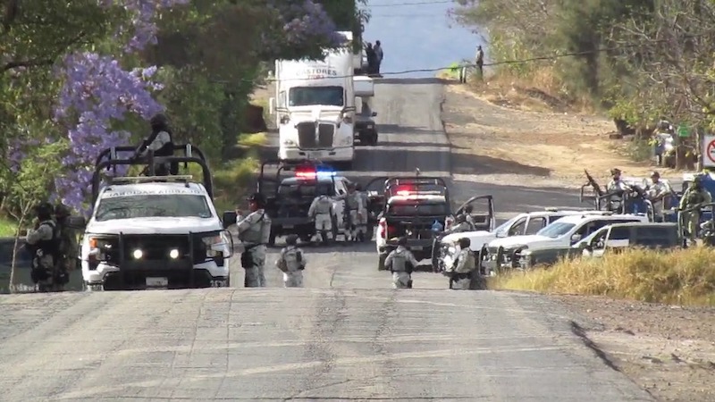 Fuerzas federales, Michoacán
