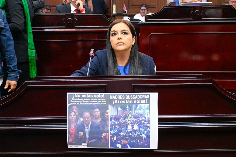 Tere Herrera, PAN