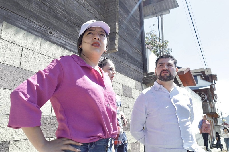 PRD Michoacán