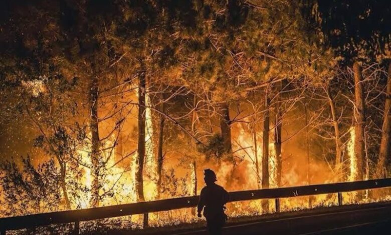 Incendio forestal