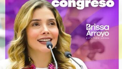 Brissa Arroyo, PRD