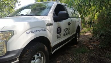 Violencia en Michoacán