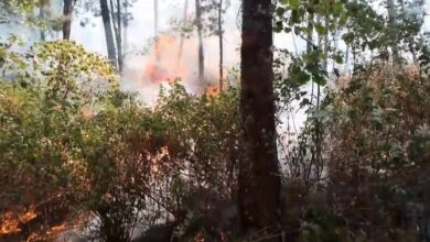 Incendio, Senguio