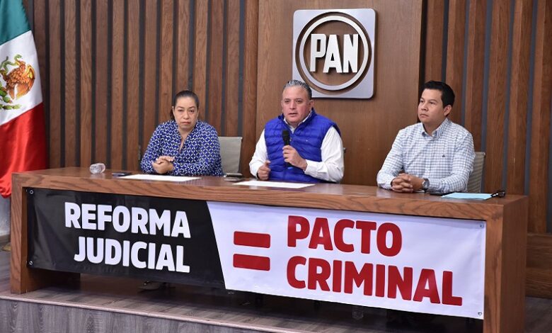 PAN Michoacán
