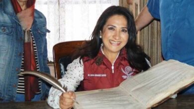 María Gloria Hernández, PVEM, Derecho Animal
