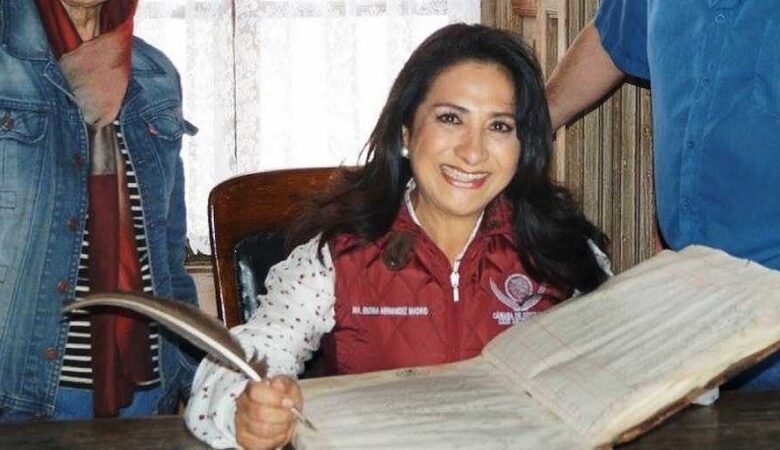 María Gloria Hernández, PVEM, Derecho Animal