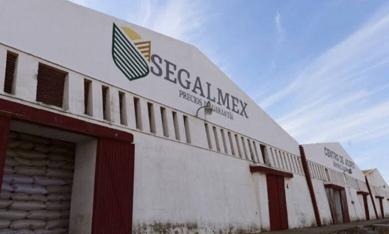 SEGALMEX, Robo, Penjamillo