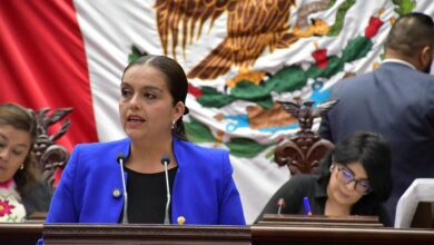 Tere Herrera, PAN