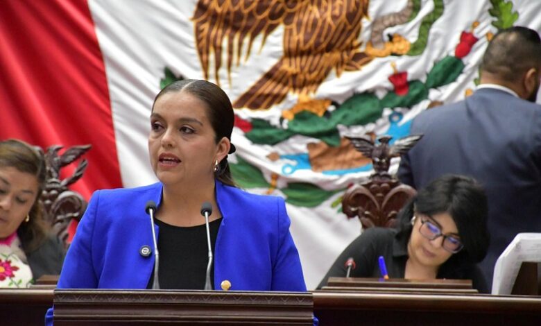Tere Herrera, PAN
