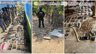 Fuerzas federales, Chinicuila
