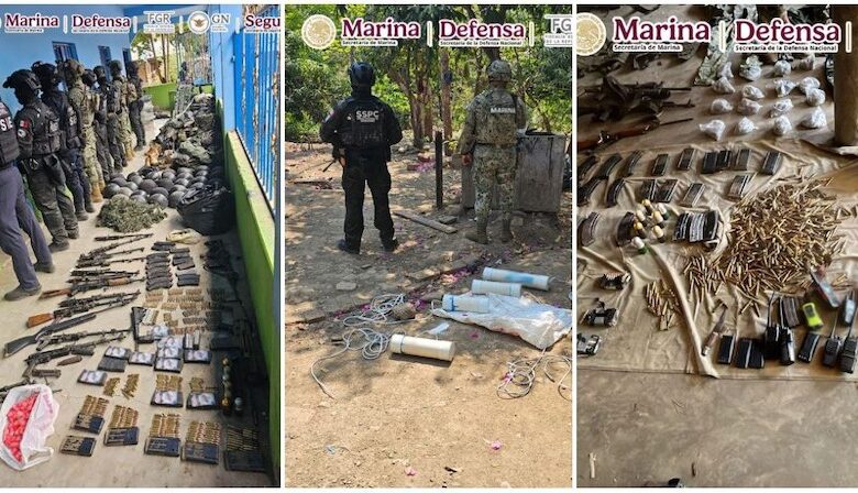 Fuerzas federales, Chinicuila