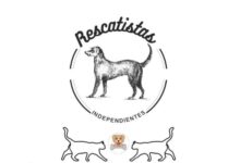 Disney, Adopción, Abandono