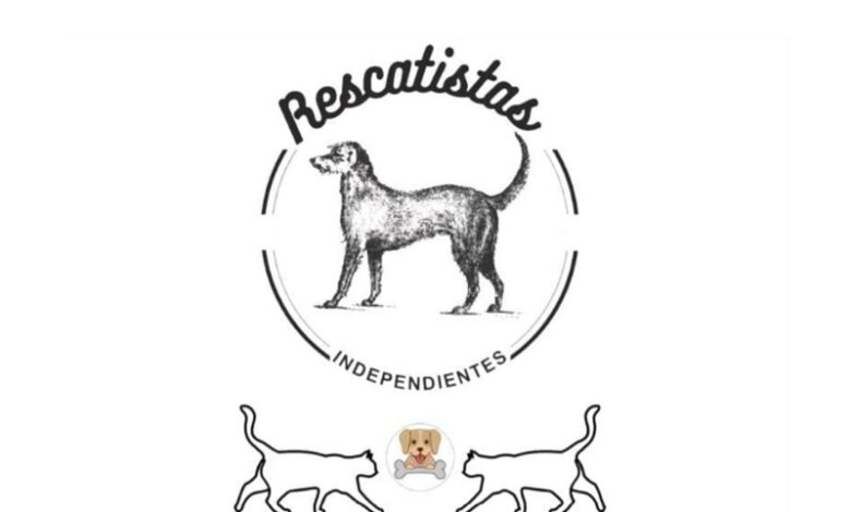 Disney, Adopción, Abandono