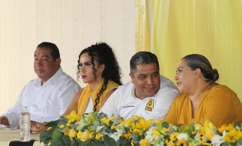 PRD, Ulises Romero