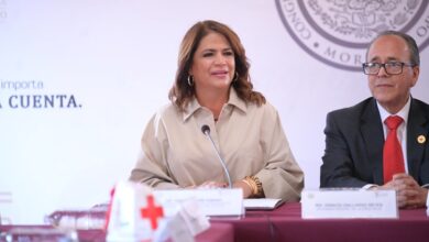 Fabiola Alanís, 4T