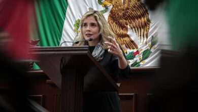 Brissa Arroyo, PRD