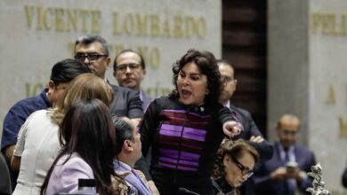 Ivonne Ortega, SHCP