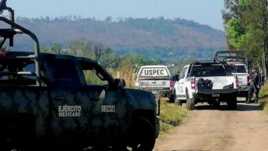 Inseguridad, Michoacán